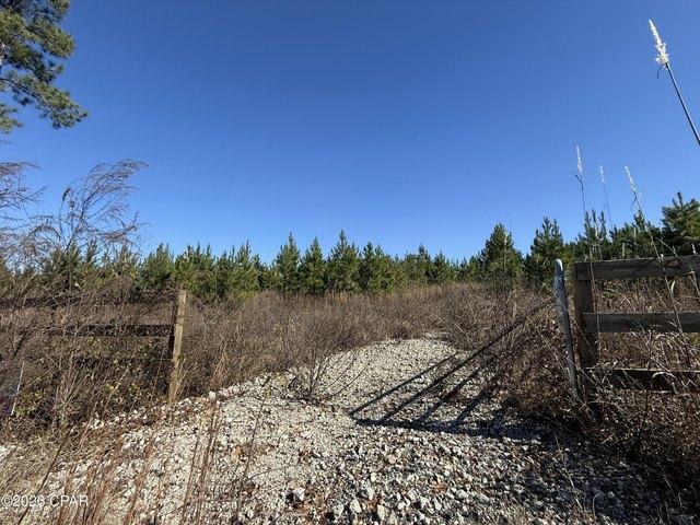 Land for sale in Marianna, Florida