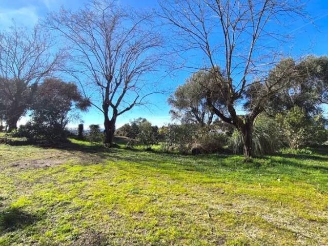 Terrain vente à Arrondissement de Draguignan, Tanneron