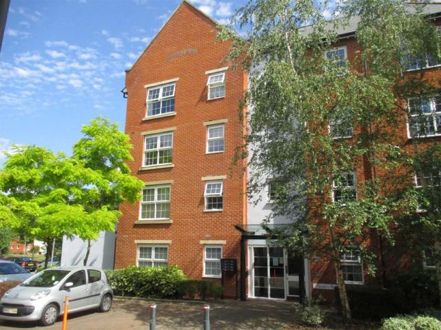 Apartment for rent in Belmont, Dromore