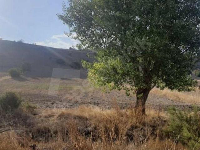 Kazan, Ankara içerisinde satılık Arsa