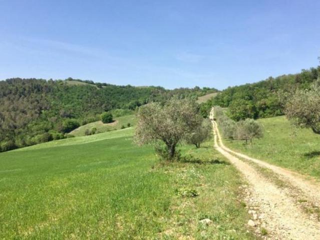 Terreno in vendita a Monte Argentario, Toscana