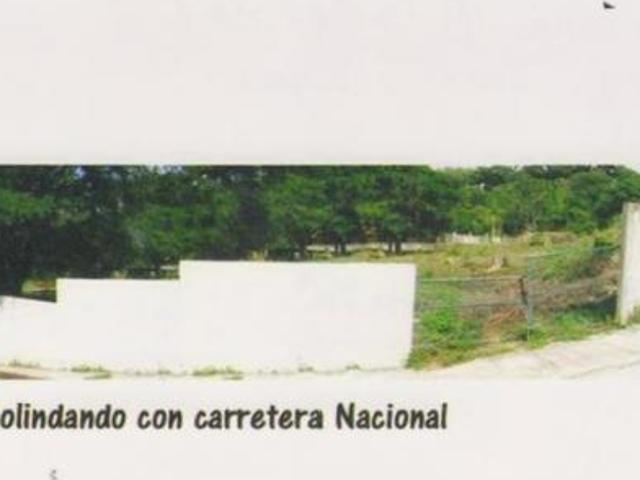 Tantoyuca