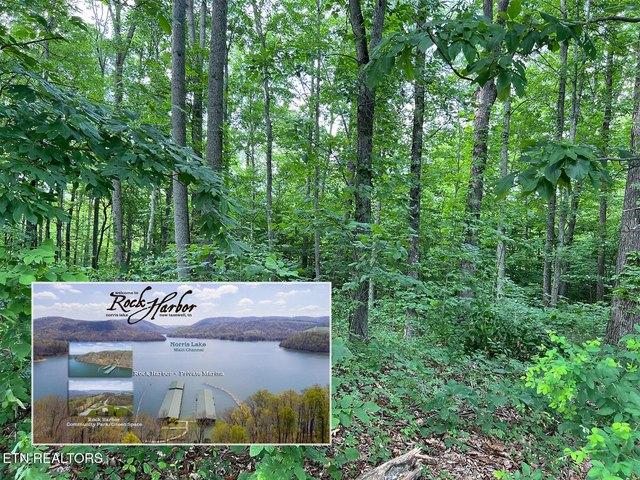 Land for sale in Tennessee