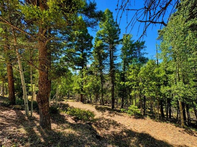Land for sale in Angel Fire, New Mexico
