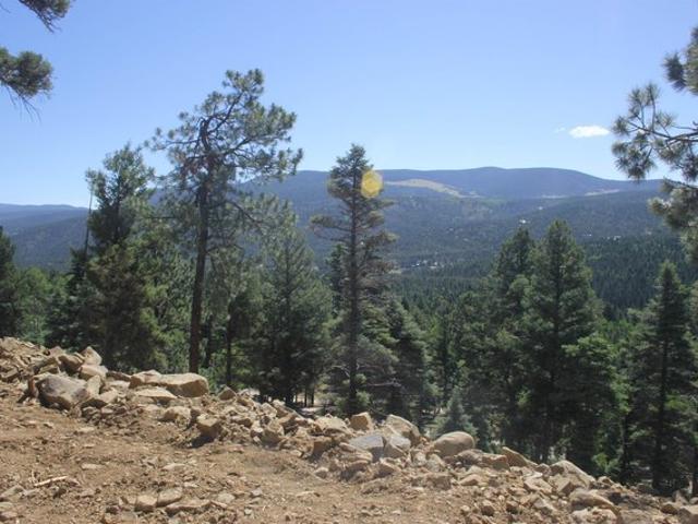 Land for sale in Angel Fire, New Mexico
