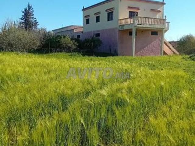 Propriété vente à Taounate