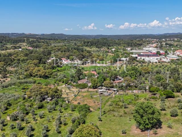 Terreno venda em Sardoal, Santarém