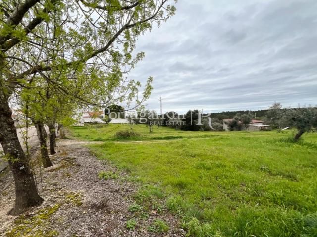 Terreno venda em Gavião, Portalegre