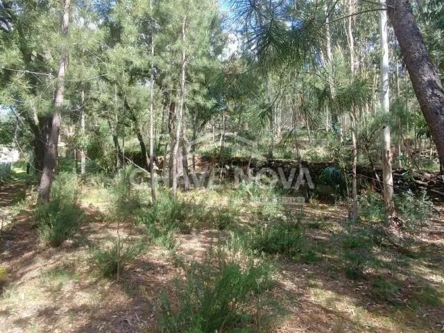 Terreno venda em Arouca, Mansores