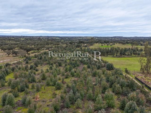 Terreno venda em Gavião, Portalegre