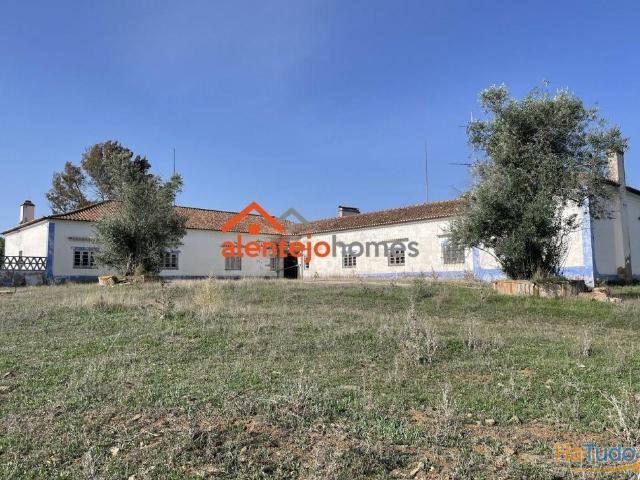Quinta venda em Arraiolos