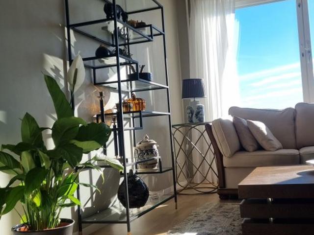 Lägenhet hyra i Annedal, Stockholm