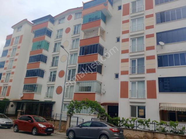 Tokat Merkez, Tokat içerisinde kiralık mülk