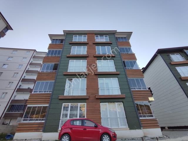 Tokat Merkez, Tokat içerisinde kiralık mülk