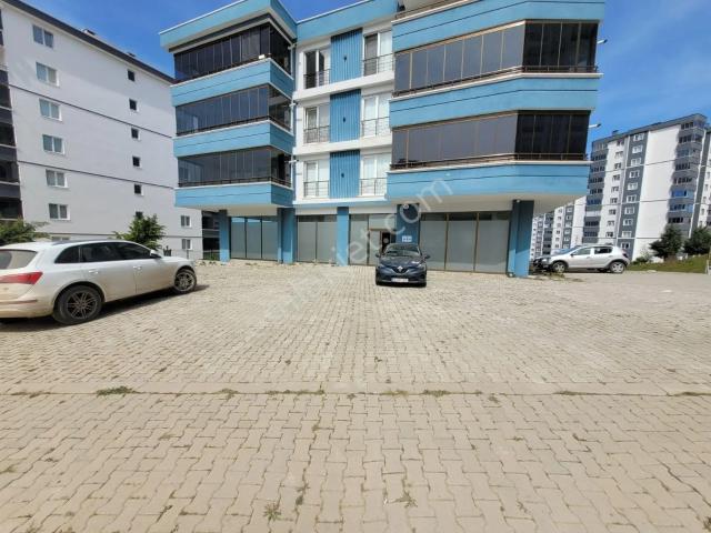Atakum, Samsun içerisinde kiralık mülk