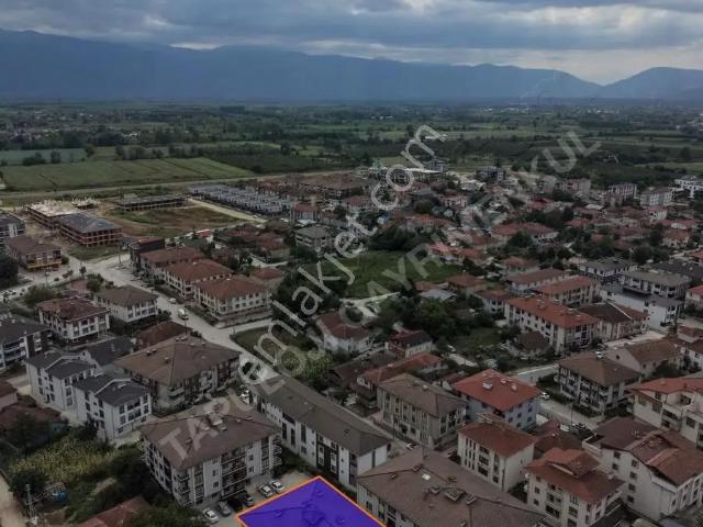 Düzce Merkez, Düzce içerisinde kiralık mülk