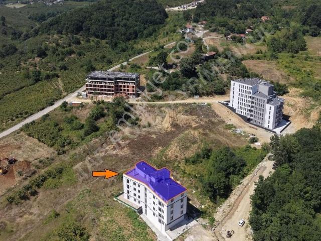 Düzce Merkez, Düzce içerisinde kiralık mülk