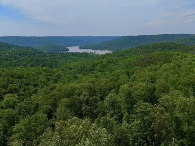 Land for sale in Guntersville, Alabama
