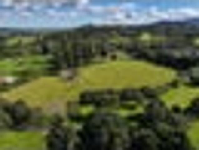 Land for sale in Northland