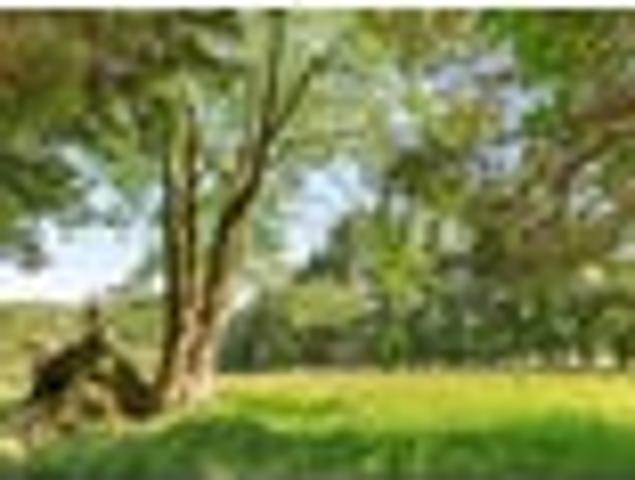 Land for sale in Northland