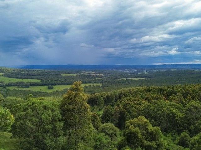 Acreage for sale in Legume, New South Wales