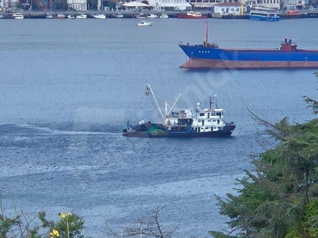 Sariyer, İstanbul içerisinde satılık mülk