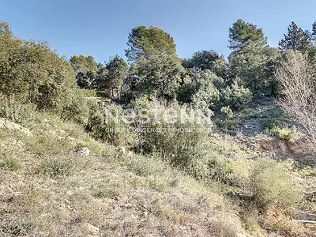 Terrain vente à Arrondissement de Draguignan, Taradeau