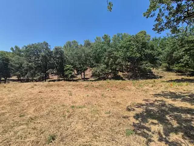 Terrain vente à Arrondissement de Draguignan, Taradeau