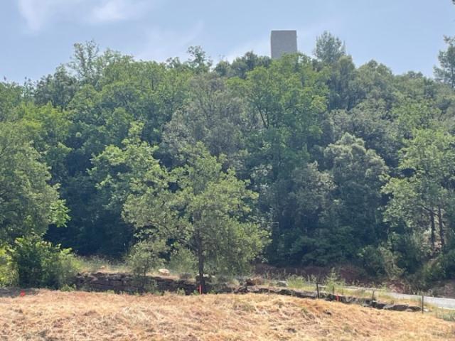 Terrain vente à Arrondissement de Draguignan, Taradeau