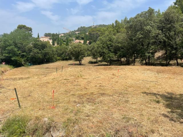 Terrain vente à Arrondissement de Draguignan, Taradeau