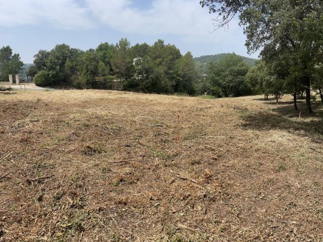 Terrain vente à Arrondissement de Draguignan, Taradeau
