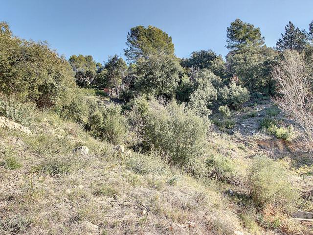 Terrain vente à Arrondissement de Draguignan, Taradeau
