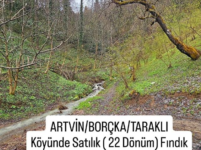 Borçka, Artvin içerisinde satılık mülk