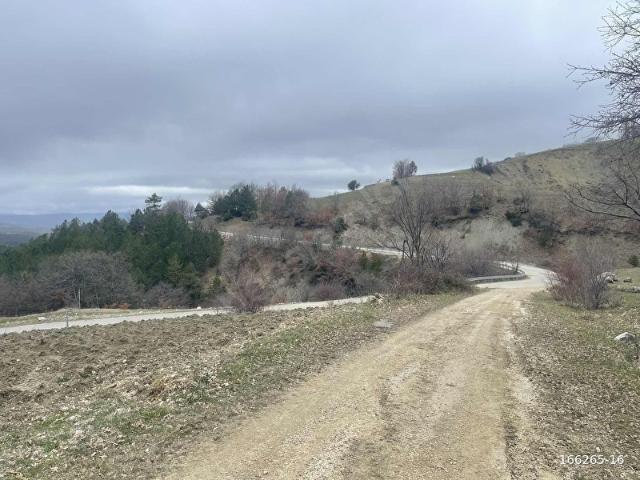 Tarakli, Sakarya içerisinde satılık mülk