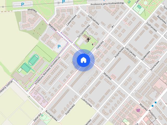 Mieszkanie do wynajęcia w Plewiska, powiat poznański