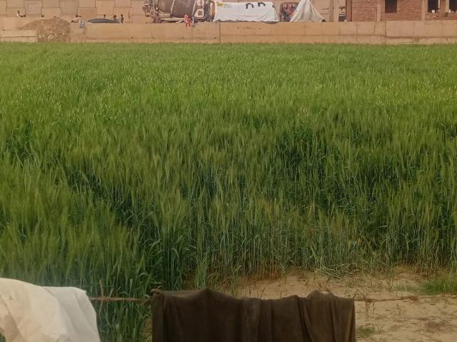 Land for sale in Deri