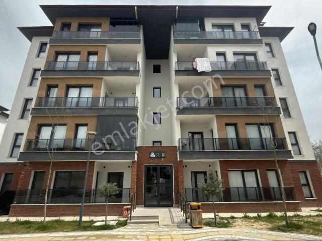 Körfez, Kocaeli içerisinde kiralık mülk