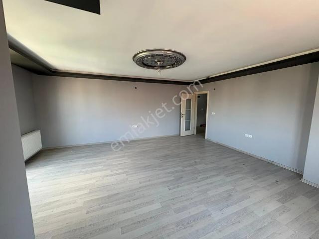 Körfez, Kocaeli içerisinde kiralık mülk