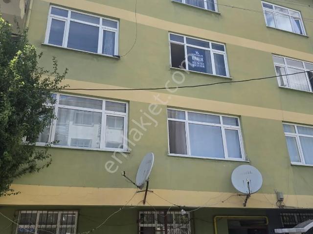 Körfez, Kocaeli içerisinde kiralık mülk