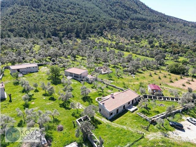Bodrum, Muğla içerisinde satılık mülk
