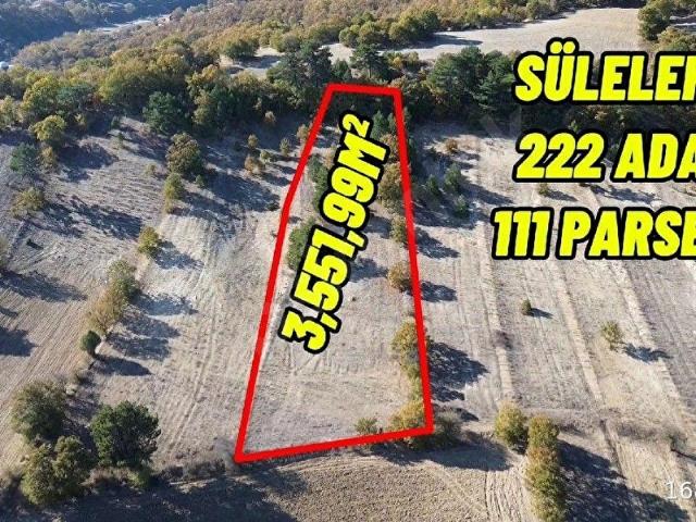 Süleler, Dursunbey içerisinde satılık Arsa