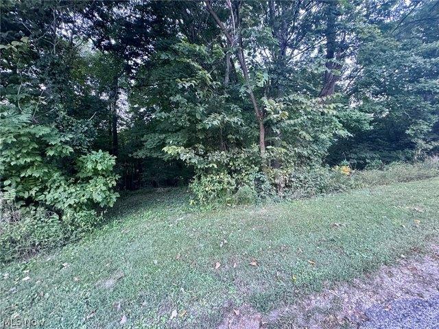 Land for sale in Nashport, Muskingum County