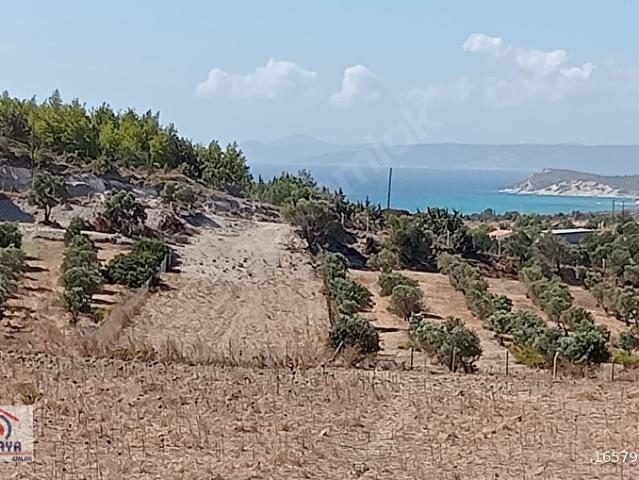 Çeşme, İzmir içerisinde satılık Arsa