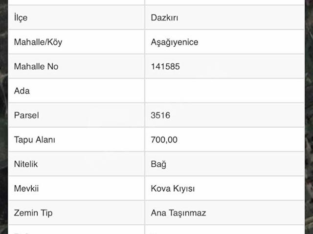 Aşağı Yenice, Dazkırı içerisinde satılık Arsa