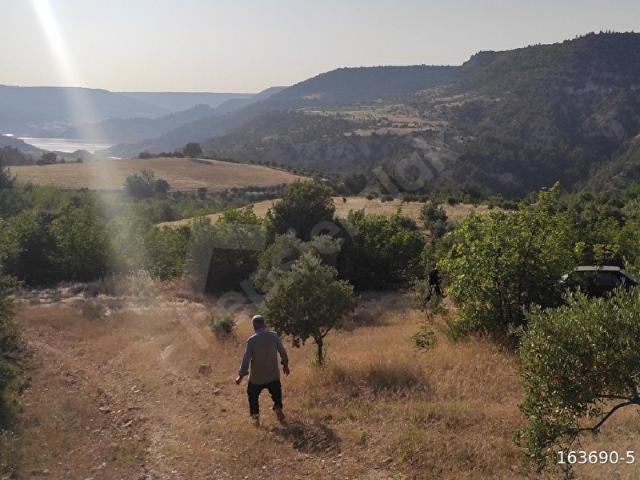 Çal, Denizli içerisinde satılık Arsa