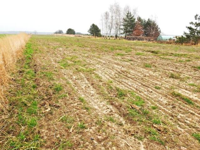 Grunt na sprzedaż w Ożarowice, Śląskie