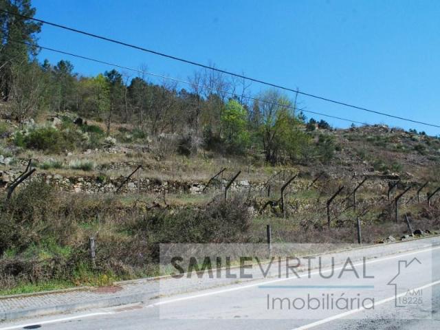 Terreno venda em Tarouca, Viseu