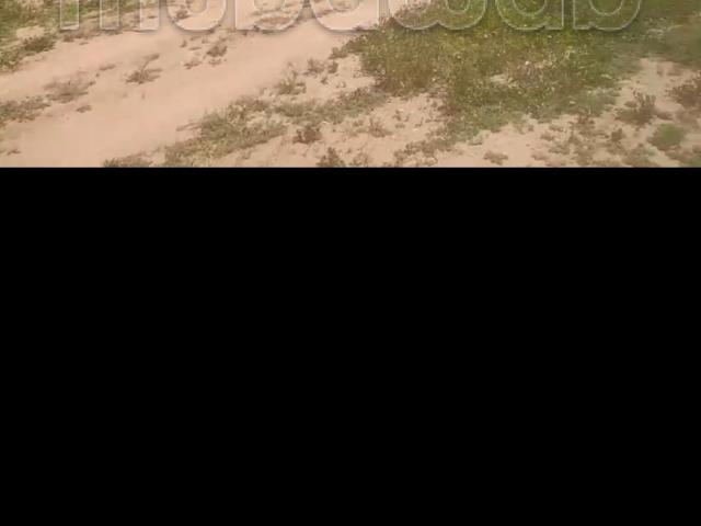 Terrain vente à Oued ed Dahab-Lagouira