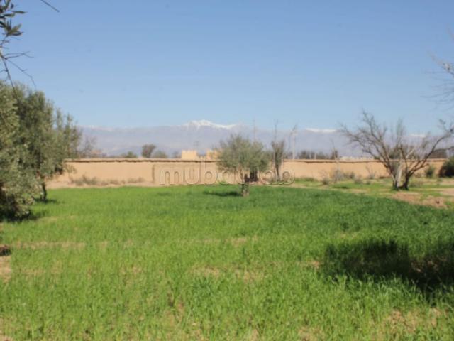 Terrain vente à Taroudant, Oued ed Dahab-Lagouira