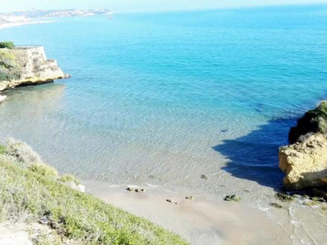 Apartamento en alquiler en la Móra, Tarragona